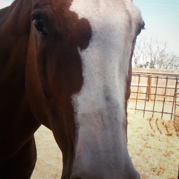 Meet your Posher, Jana - Picture 3 of 5